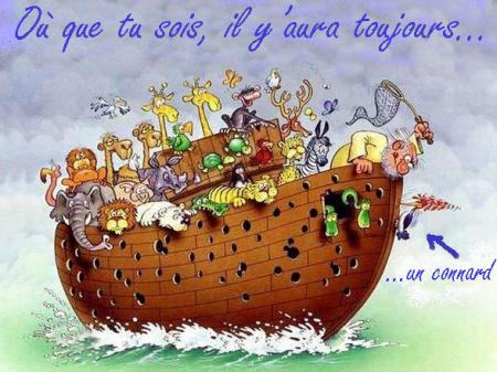la bible, et no� ont oubli� de nous l'enseigner, Julo s'en est charg� !